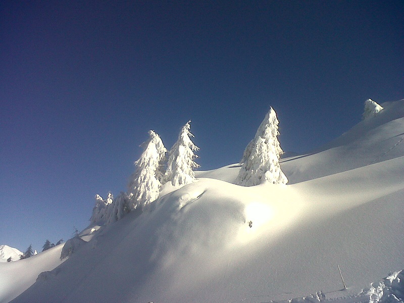 Ponte di legno - neve