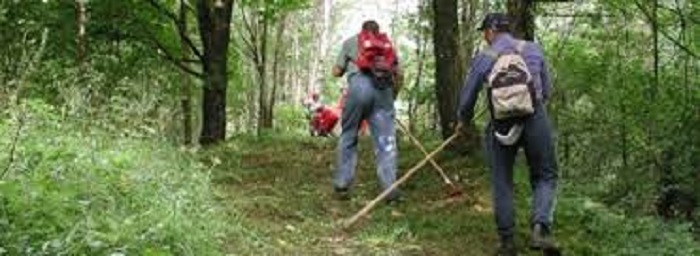 Controlli ambiente Forestali