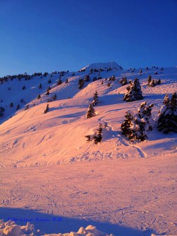 Passo Tonale in rosa