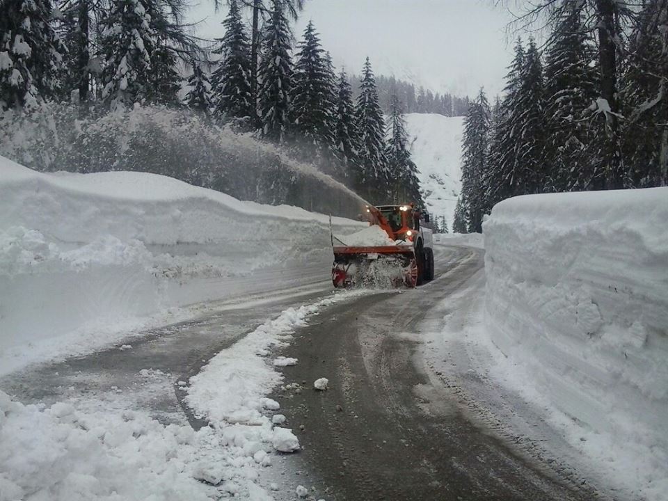 neve