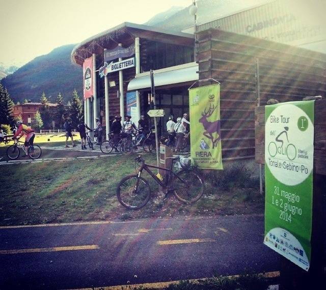 adamello free bike 10