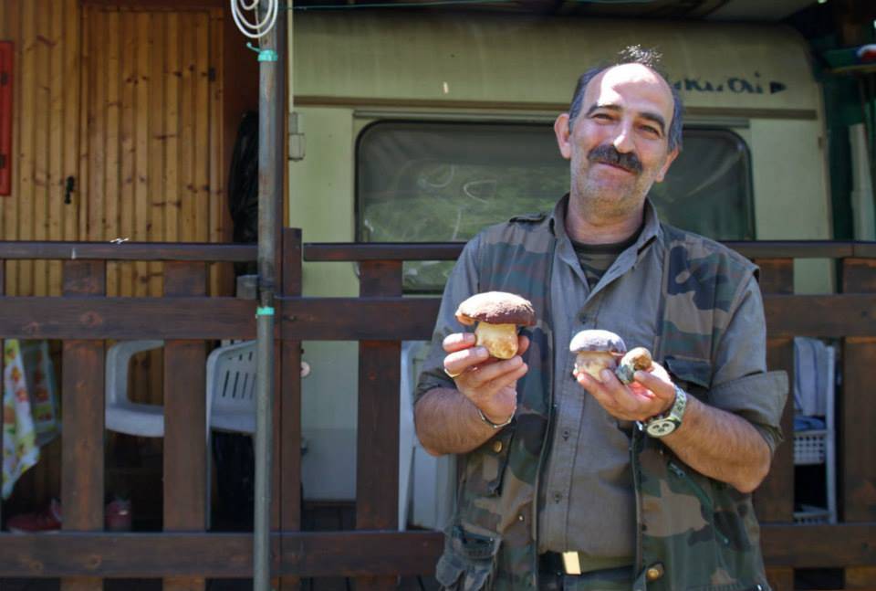 Aprica primi porcini 2