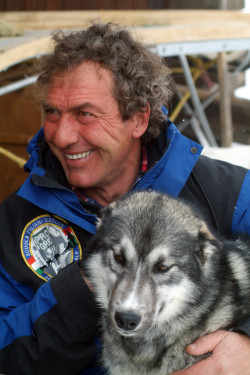 armin cani da slitta