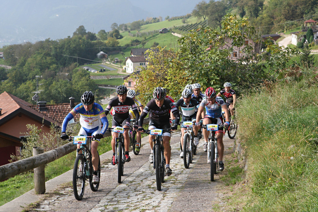 mountain bike mtb