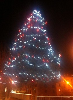 grande albero