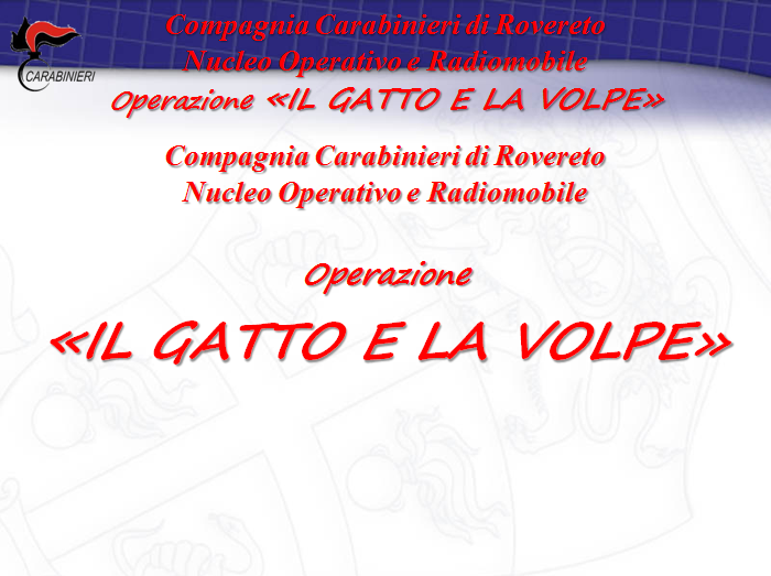 gatto e volpa