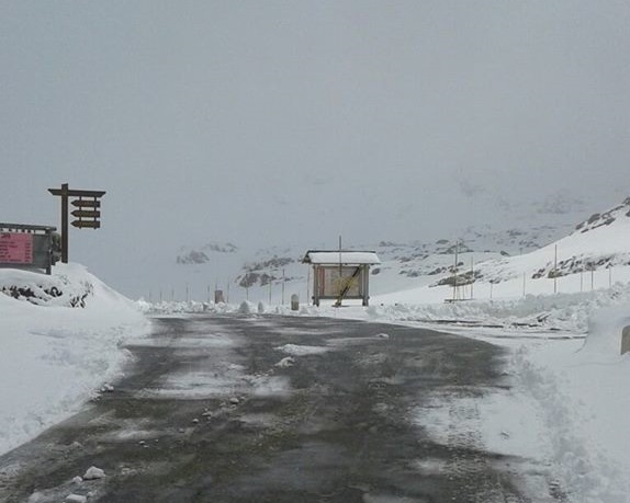 Passo Gavia 1