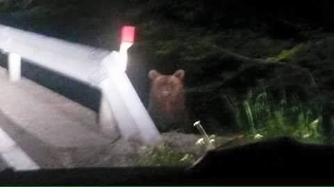 orso guard rail