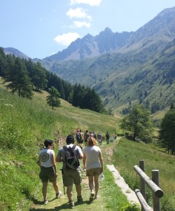 Ponte di legno 80