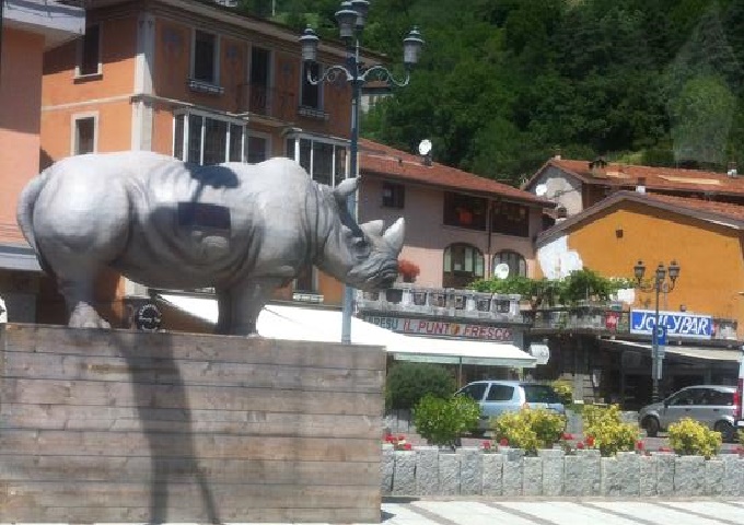 Rinoceronte in piazza Edolo