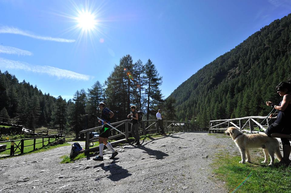 VALLE CAMONICA - Rafforzamento della governance del Parco dell’Adamello