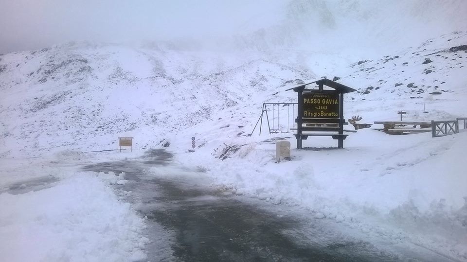 neve gavia