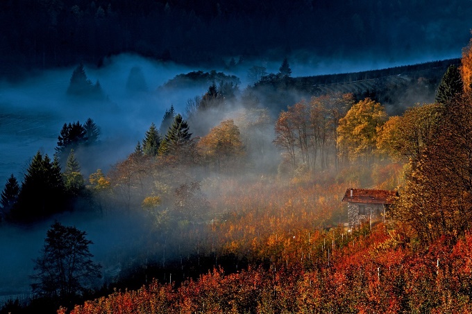 foto autunno Pino Velcani