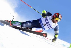 gigante maurberger