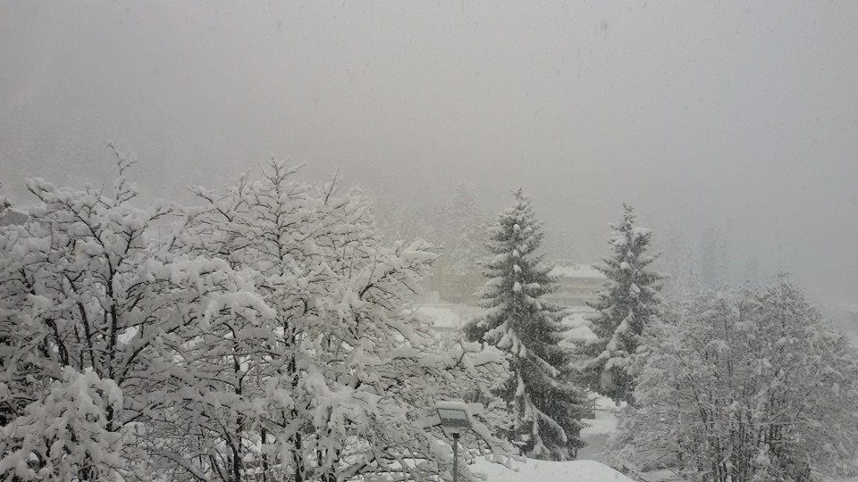 neve