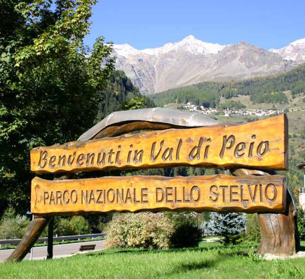 ATTUALITÀ - Peio, il Parco dello Stelvio diventa racconto collettivo