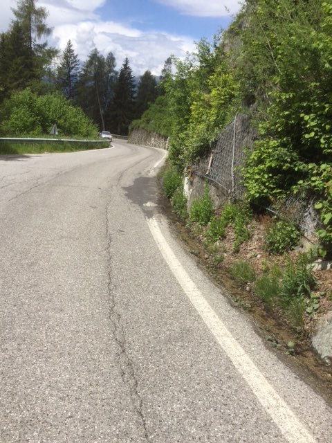TRENTINO - Strada Provinciale 71 Fersina-Avisio: ripristino delle reti di protezione lungo il lago di Lases