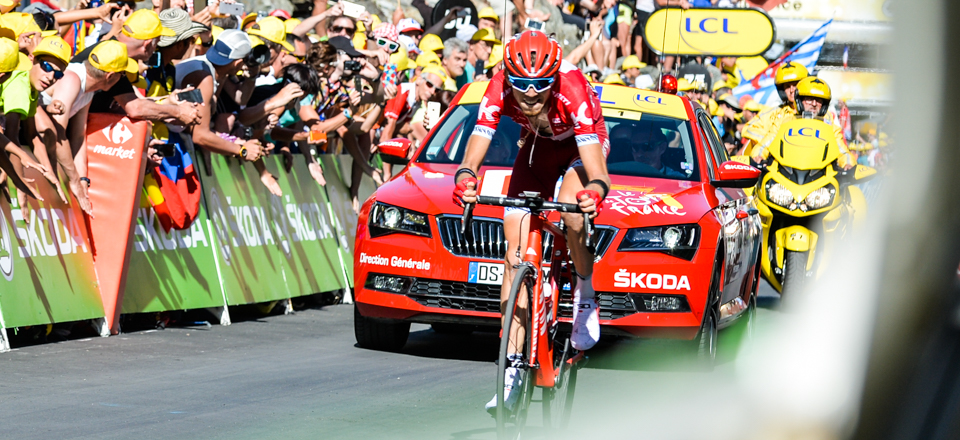 zakarin