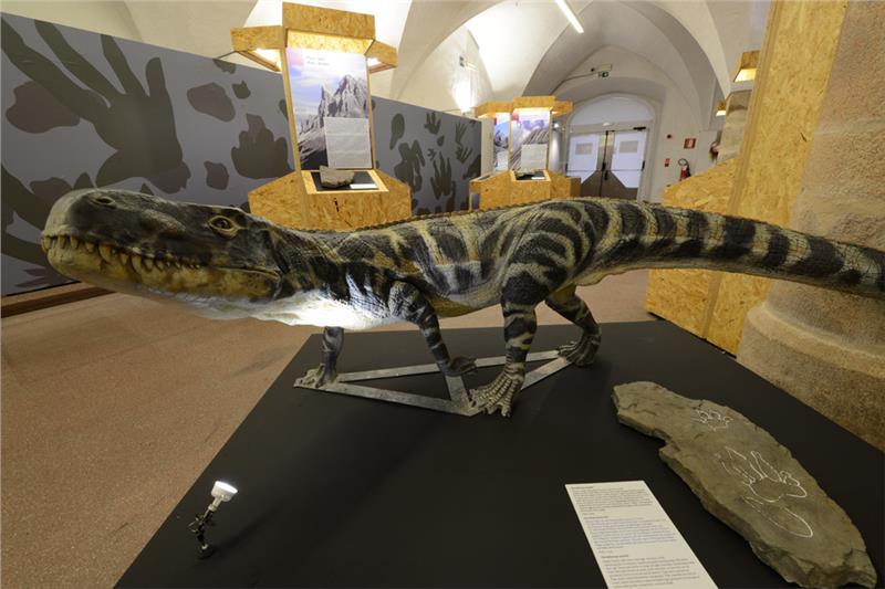 museo-ladinium
