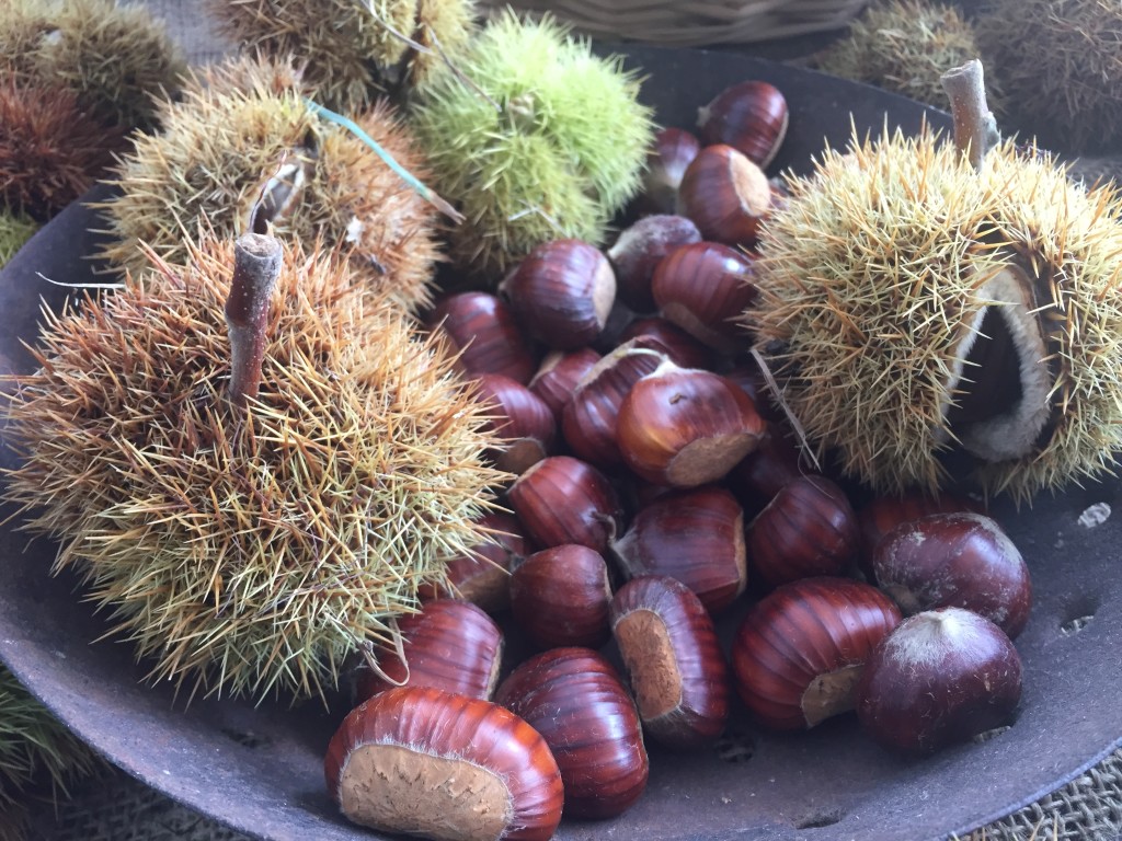 castagne