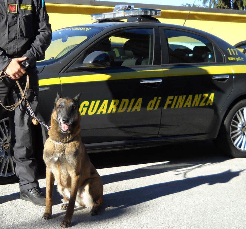 CRONACA - Traffico di droga, 40enne arrestato dalla Finanza di Bolzano