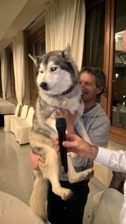 Rinaldo Marioli con il cane Keith (1)