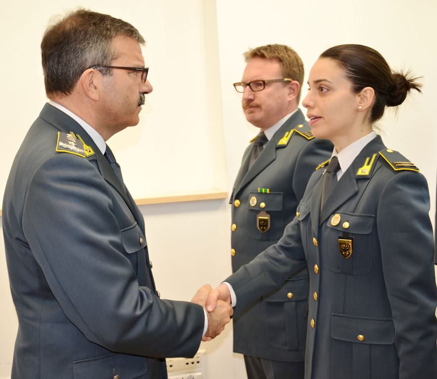 Trento Gdf 1