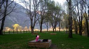 area pic nic