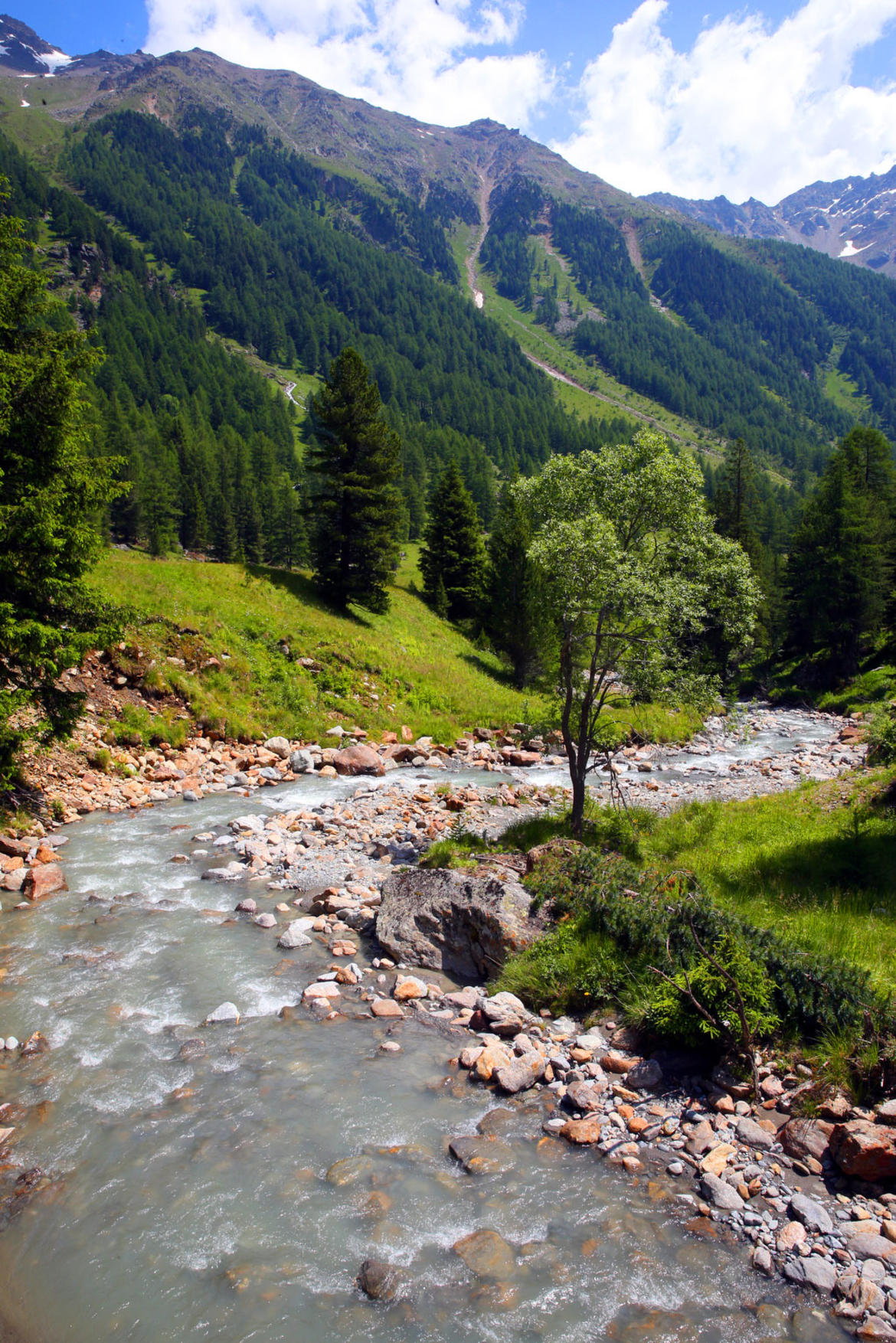 VALTELLINA - Lombardia, bando forestale per sostegno concreto alle imprese boschive