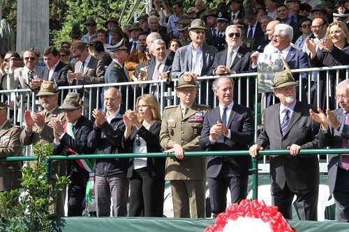 adunata alpini0