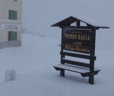 Gavia neve 1