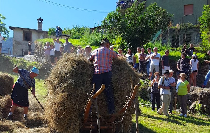 fen festa monno
