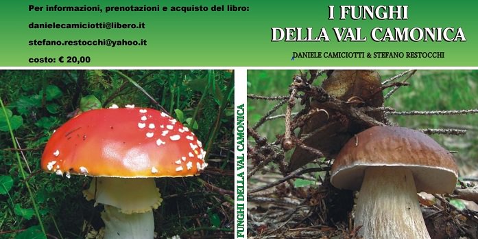 funghi Camiciotti Restocchi 0