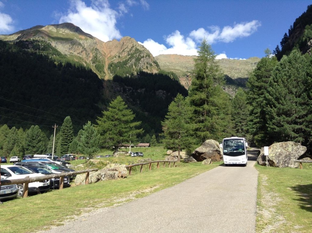 bus navetta trentino