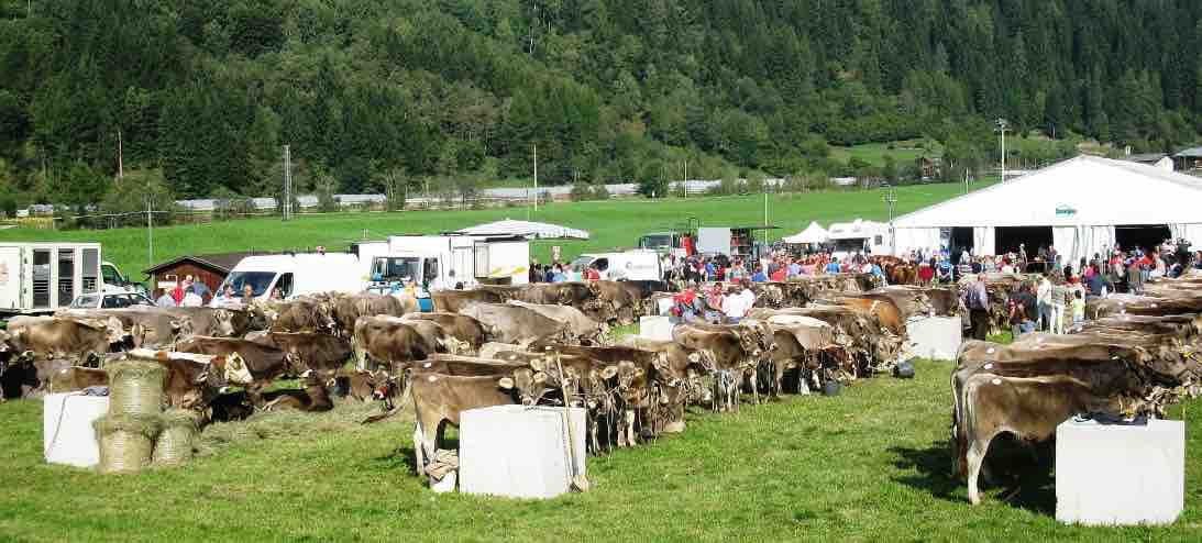 ATTUALITÀ - Settembre in Val di Sole ha il sapore del Casolét