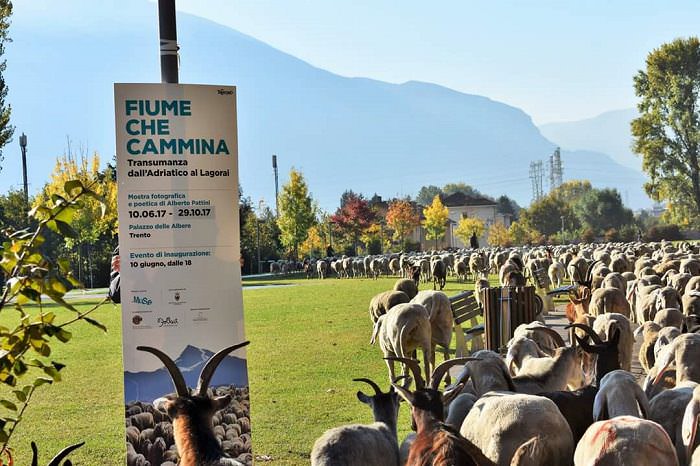 Trento fiume che cammina 0