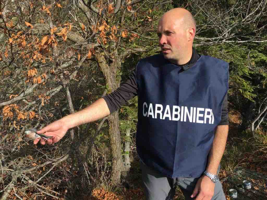 CRONACA - Bracconaggio: in Valle Camonica denunciato un cacciatore