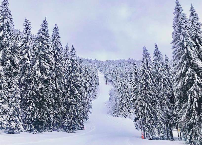 neve borno