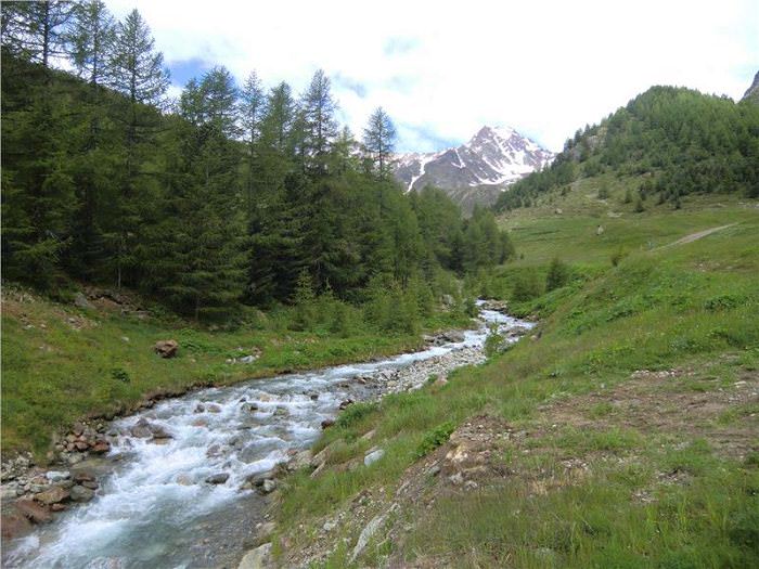 Ruscelli montani 1