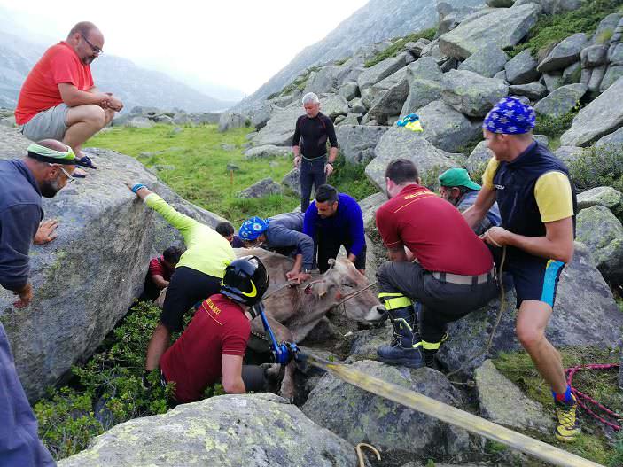 Val Saviore - vigili fuoco recupero mucca