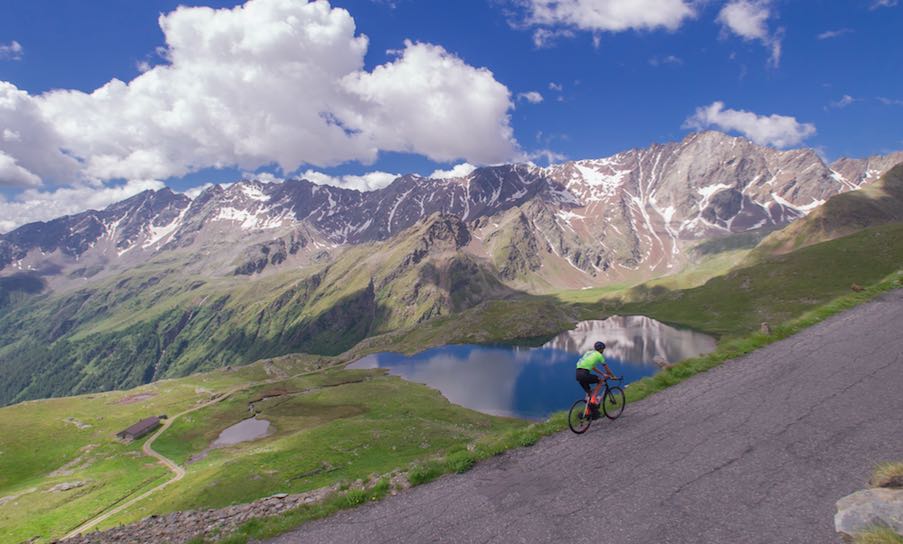 ballan gavia