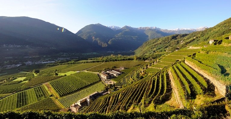 via terrazzamenti valtellina