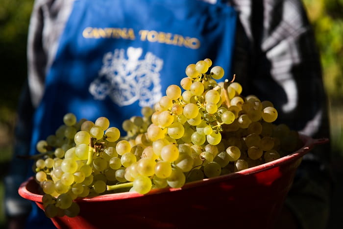 Cantina Vino Toblino 03