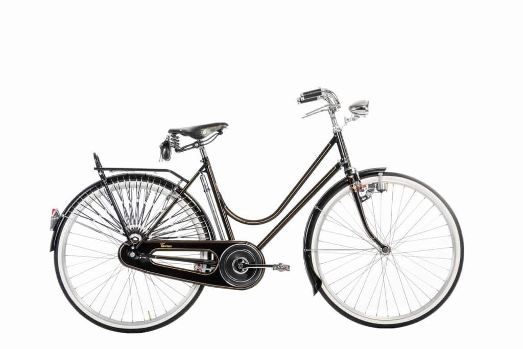 Taurus bici