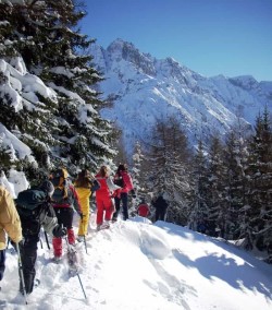 Camminate invernali neve