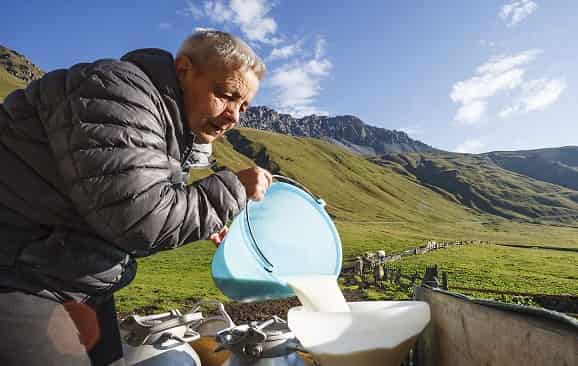 Latteria Sociale Valtellina