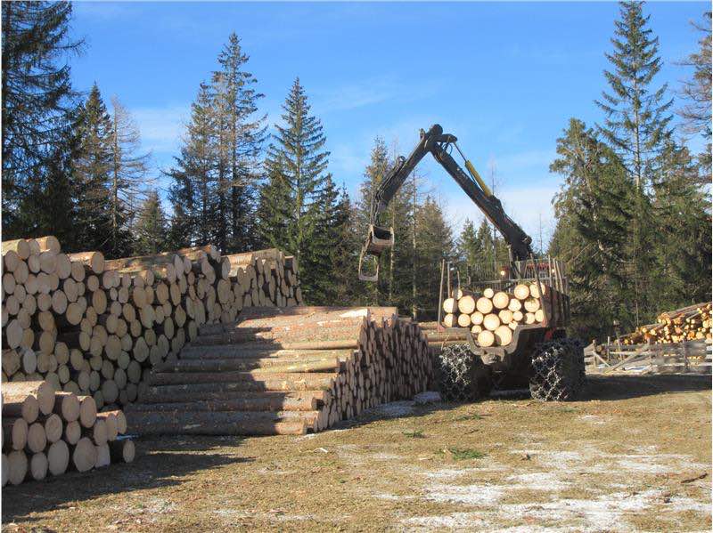VALLE CAMONICA - Edolo: confronto a Unimont su legno e filiera forestale