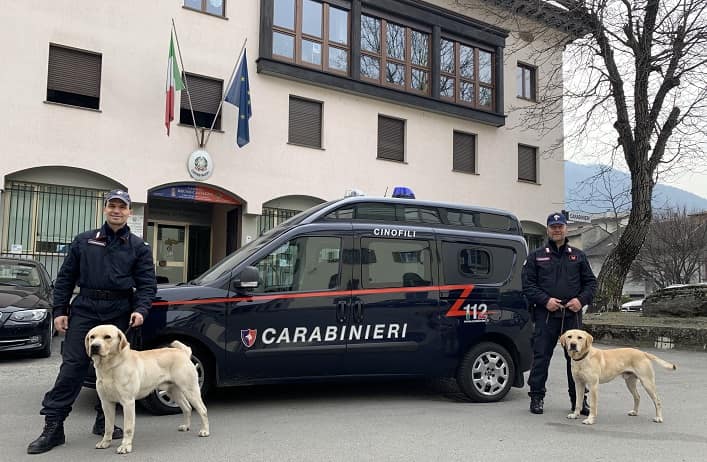 CRONACA - Maxi sequestro di droga: arrestato 58enne bolzanino