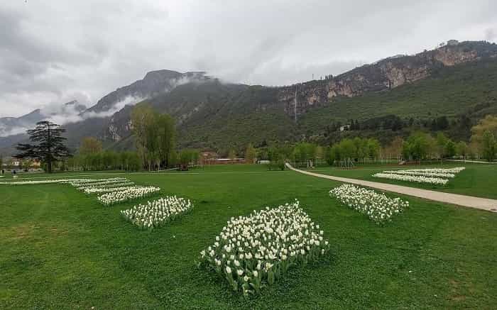Scalfi fiori da fabbrica - Comune Trento