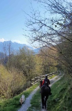 equitazione - Gdv
